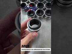 বোরগম্যান জি৬০ ওয়াটার পাম্প মেকানিক্যাল সিল স্ট্যান্ডার্ড প্রতিস্থাপন আকার এমজি১-১২ মিমি-১০০ মিমি