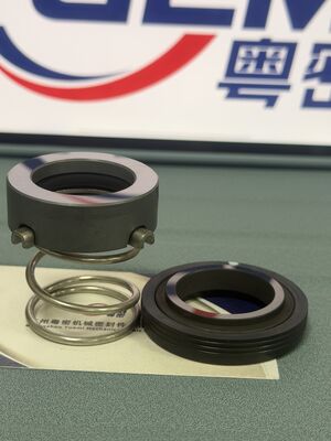 Walrus TPH 2t 4t 8t 12t 25t 50t পাম্প Walrus Tph সিরিজের পাম্পগুলির জন্য যান্ত্রিক সিলিং