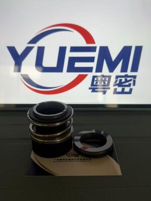 MG13/Z গরম পানির পাইপলাইন সেন্ট্রিফুগাল সার্কুলেশন পাম্প যান্ত্রিক সিলিং Glf Tp/Tpd/Lp/Lm, G4 G6 G60