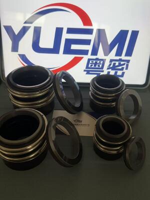 MG13/Z গরম পানির পাইপলাইন সেন্ট্রিফুগাল সার্কুলেশন পাম্প যান্ত্রিক সিলিং Glf Tp/Tpd/Lp/Lm, G4 G6 G60