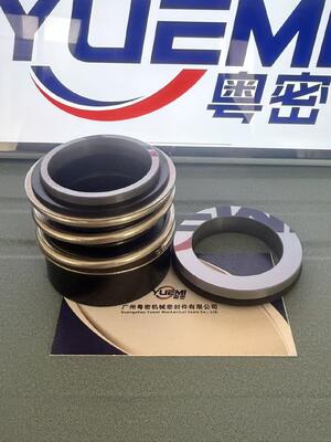 MG13/Z গরম পানির পাইপলাইন সেন্ট্রিফুগাল সার্কুলেশন পাম্প যান্ত্রিক সিলিং Glf Tp/Tpd/Lp/Lm, G4 G6 G60